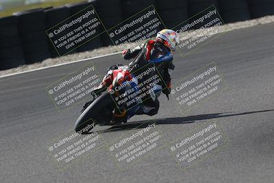 media/Oct-12-2025-CRA (Sun) [[e621380112]]/Races/Race 10/